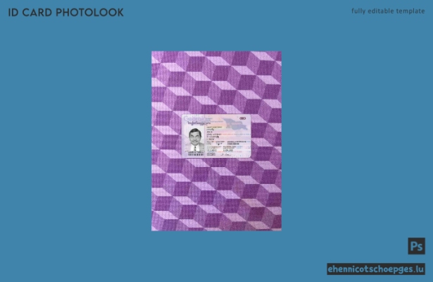 Georgia ID-Fotolook-Beispielvorschau
